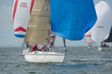 zebedee 6731y whyw17 thur gjmc 8379